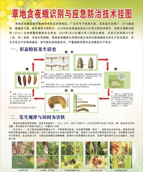 茄子病虫害防治技术（掌握有效方法）