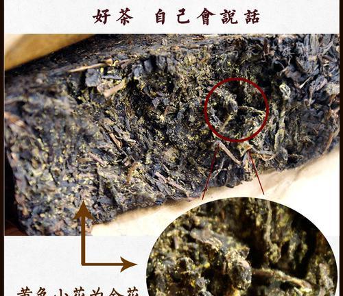 如何正确保存安化黑茶（保存时间）