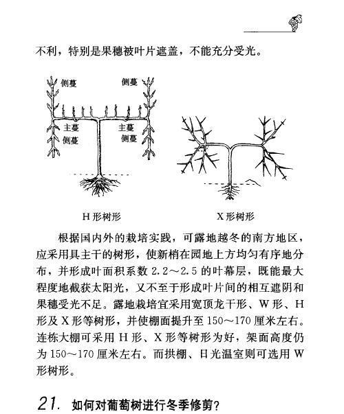 巧学巴西木打顶（木打顶的步骤）