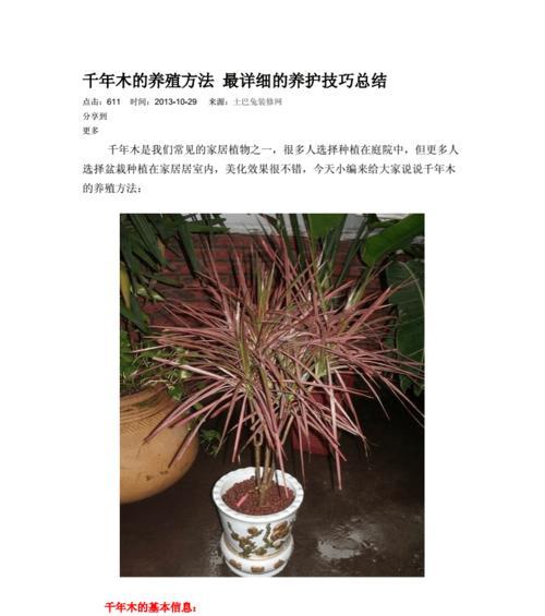 如何正确浇水巴西木（关键步骤让你的植物健康成长）