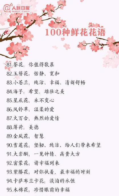 花环菊的花语及其意义（揭示花环菊所传达的爱）