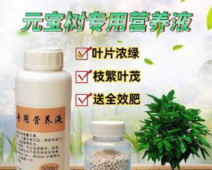 氮磷钾对植物的作用是什么？如何正确施肥？