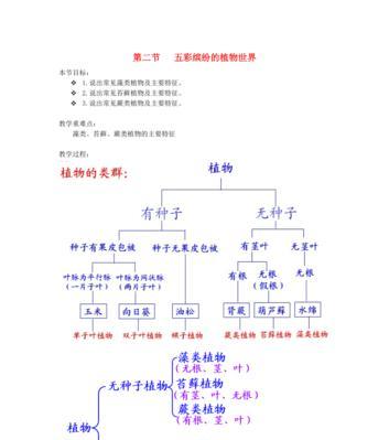 地瓜的生长周期是多长时间？如何优化种植管理以缩短周期？