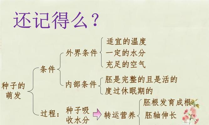 地黄的生长周期是多长时间？如何优化种植管理？