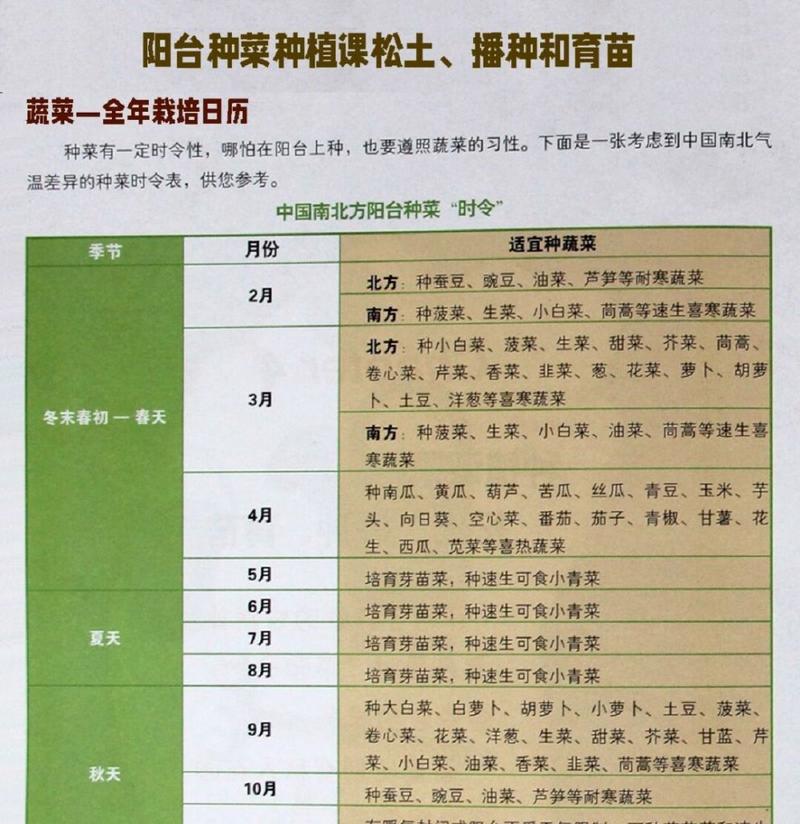 地芸豆怎么种植？最佳种植时间和方法是什么？