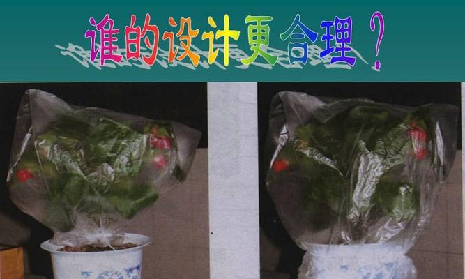 锰元素对植物的作用是什么？如何正确使用锰肥？