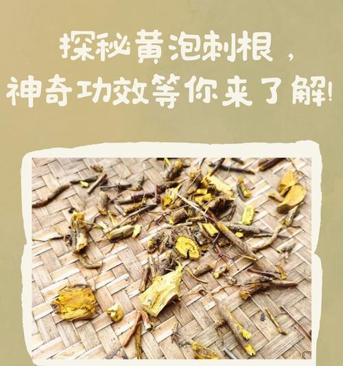 植物本草怎么样？它的药用价值和使用方法是什么？