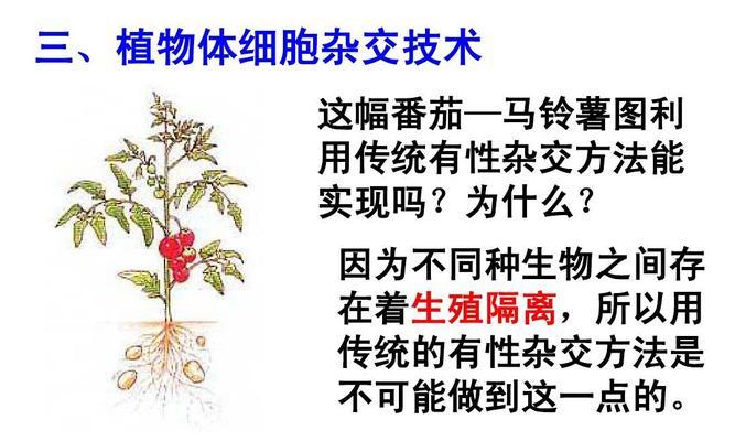 杂交植物平板下载方法是什么？哪里可以下载？