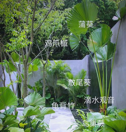 入户花园适合种植哪些植物？养护要点是什么？